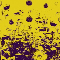 Sunflower (link in desc.)