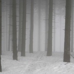 ennui (prod. yui;seven) [SLOWED]