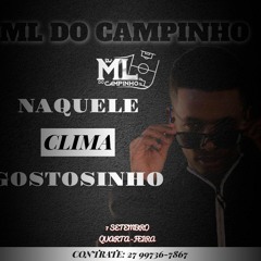 NAQUELE CLIMA GOSTOSINHO - DJ ML DO CAMPINHO (CLIMA FRIOZINHO 02)