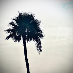 Sol (Beach Club Mix)