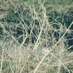 Log_20230208（demo）