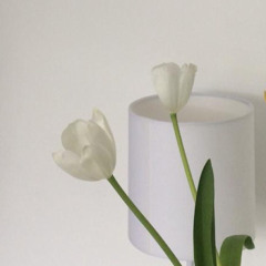 Latch (Mia Wakefield Cover)