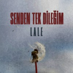 Senden Tek Dileğim