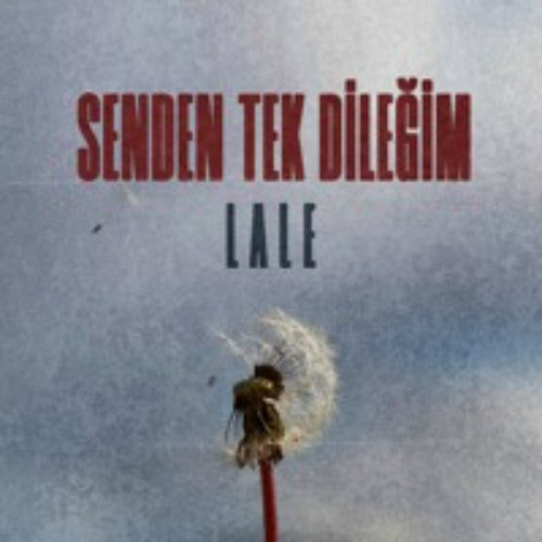 Senden Tek Dileğim