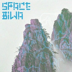 SPACE BIWA - WASTELAND WANDERER