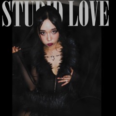 Stupid Love freestyle THD
