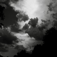 Russ Ryan - 19 October 2025