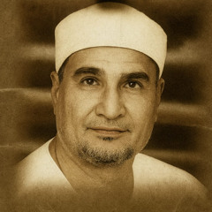 mohammad-abd-alwahhab-altantawy (176)