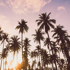 Tourists Of The Caribbean (re-mastered)