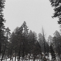 Dying Stars and Wasted Dreams (Prod.Farber & DanielSaint)