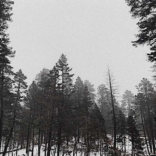 Dying Stars and Wasted Dreams (Prod.Farber & DanielSaint)