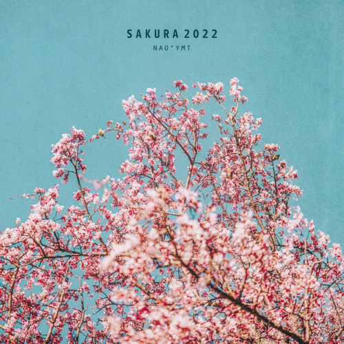 Sakura 2022