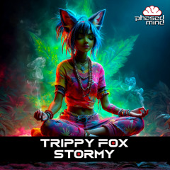 Trippy Fox - Stormy (Preview)