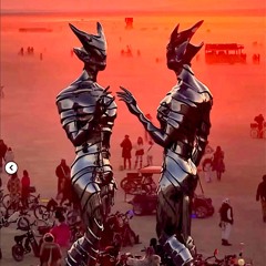 DRAGONFLY - MIDNITE MIRAGE - BURNING MAN - SOUND GARDEN - 2025