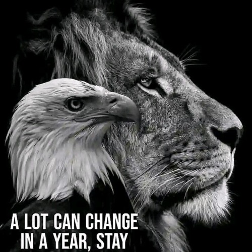 my_life_.m4a