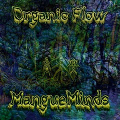 Organic Flow (Original Mix)
