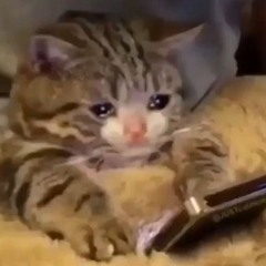 sad