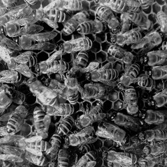 Pensando em voce Drum & Bass Chill-Jazz Remix