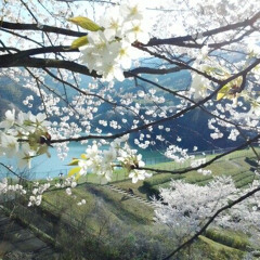 mi glock prod. kenzee