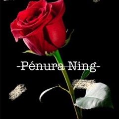 Pénura Ning (Cvr)by Daj Asan