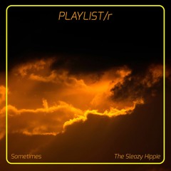 The Sleazy Hippie  - Sometimes(Radio Edit)