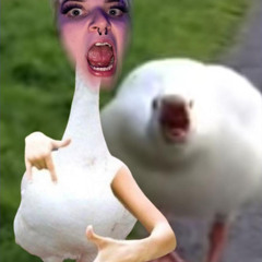 join to the Duck Side