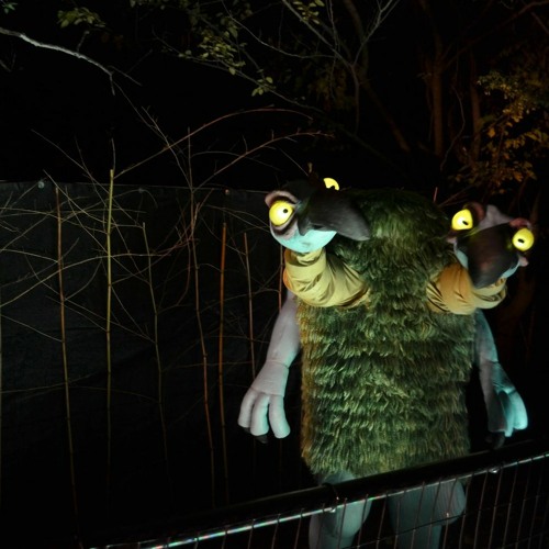 The Midnight Zoo