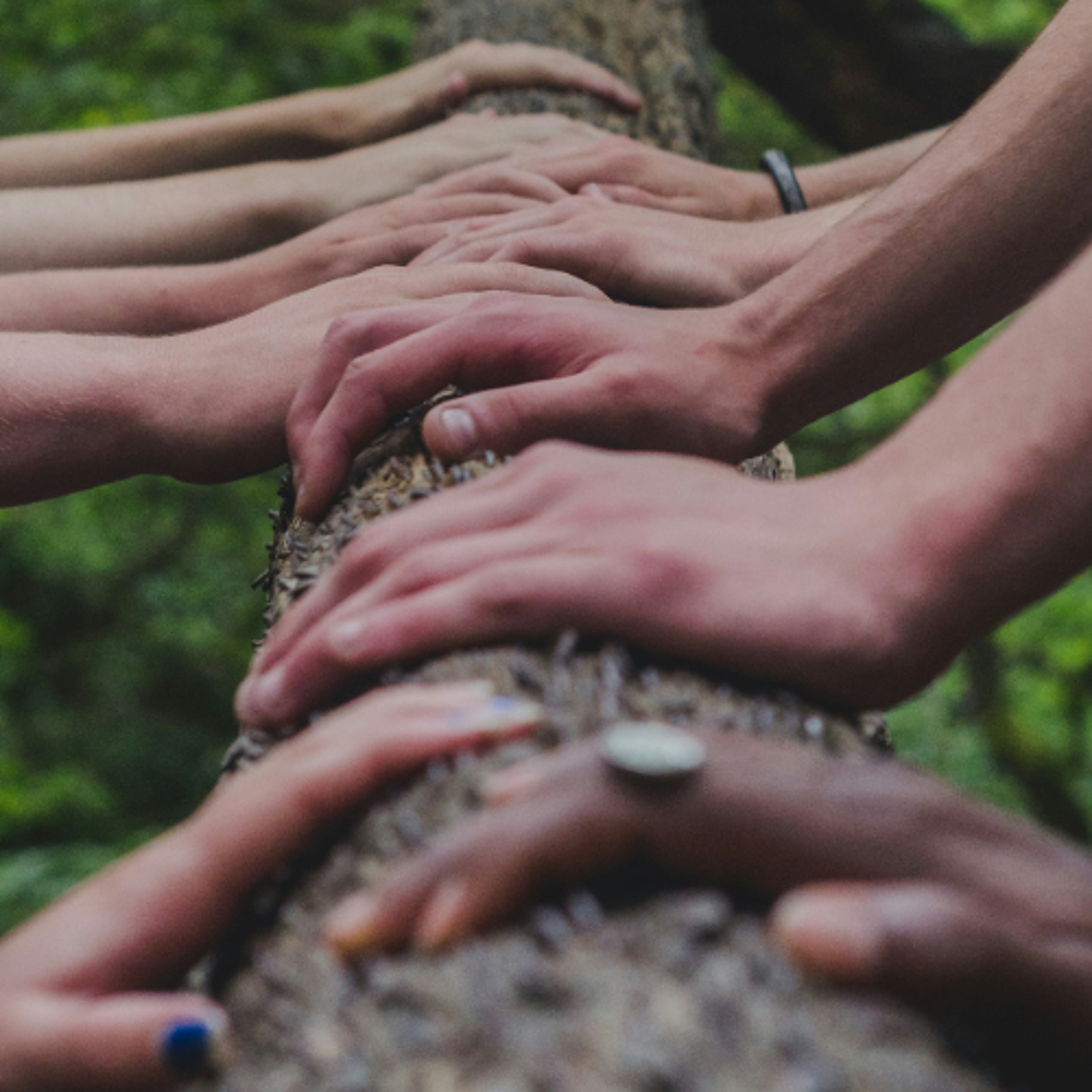 96: Nature Connectedness and Disordered Eating