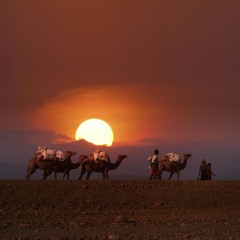 Black day beats:Desert