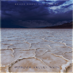 Wonder Valley Rain