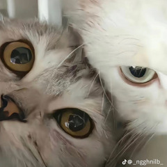 Sao Mình Chưa Nắm Tay Nhau Tiktok Remix Hot Tiktok.mp3
