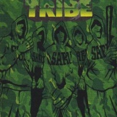 ✰ TRIBE ✰