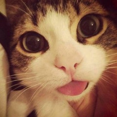 loganpls +xiloh - script