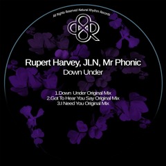 Rupert Harvey, JLN, Mr Phonic - Got To Hear You Say