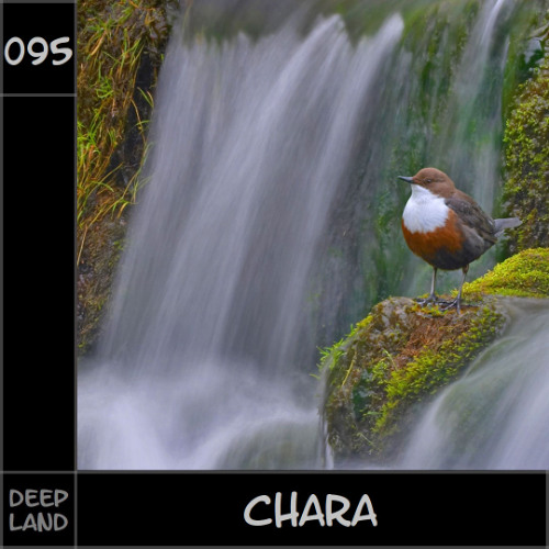 Deep Land - Chara (Set 095)