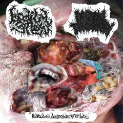 Stick on Chola Eyebrows (from Larval therapy x Bodily Stew split)