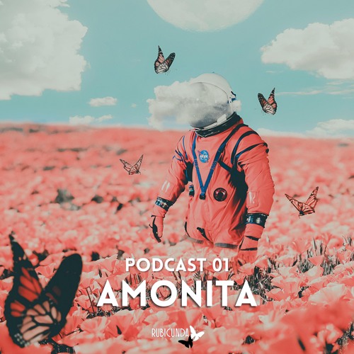 Stream Amonita - Rubicunda Podcast 01 by RUBICUNDA | Listen online for free  on SoundCloud