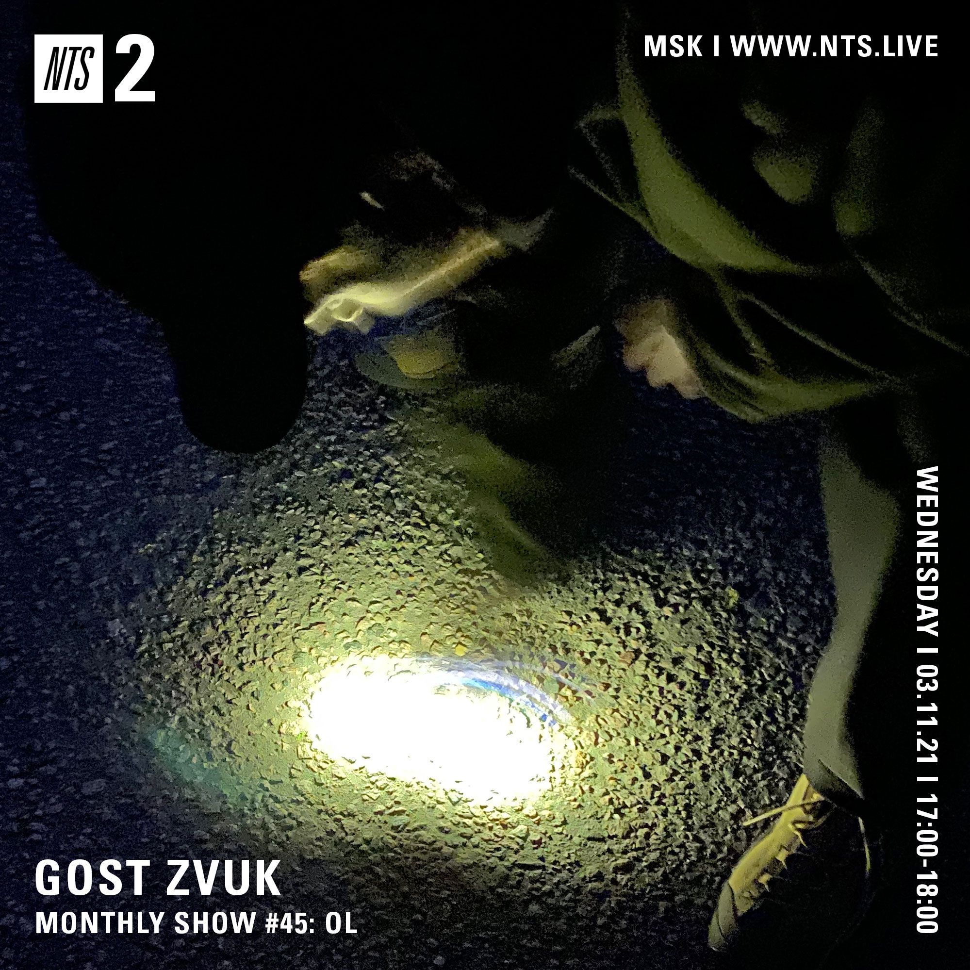 Télécharger GOST ZVUK x NTS monthly show #45 w/ OL