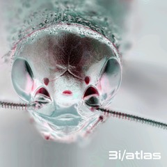 3i / atlas (music for battling insects)