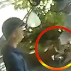 Viral !! Video Gốc Bé Áo Đen Nhảy Hình Ảnh