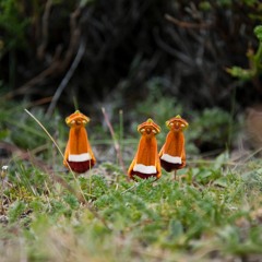 Puelche Lunar mix1 vox Yayo