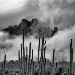 On_me (prod TREETIME