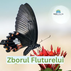 Zborul Fluturelui