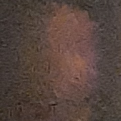 tradition - nothing fuck friends