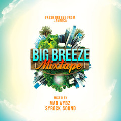 BIG BREEZE MIXTAPE - 2025 REGGAE AND DANCEHALL MUSIC