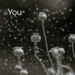 You