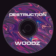 Destruction - WOODZ