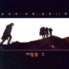 바람꽃 - 비와외로움 ROCK