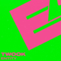 Twook - Entity