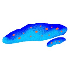 ALxFW: Slowfoam (01.10.23)